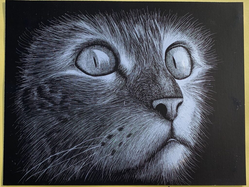 Toledo Humane Society - NEW: Animal Art Drawing Class for kids